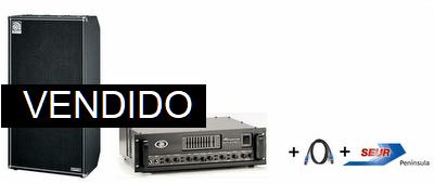 Ampeg SVT4  + SVT810 Stack (Billy Sheehan)